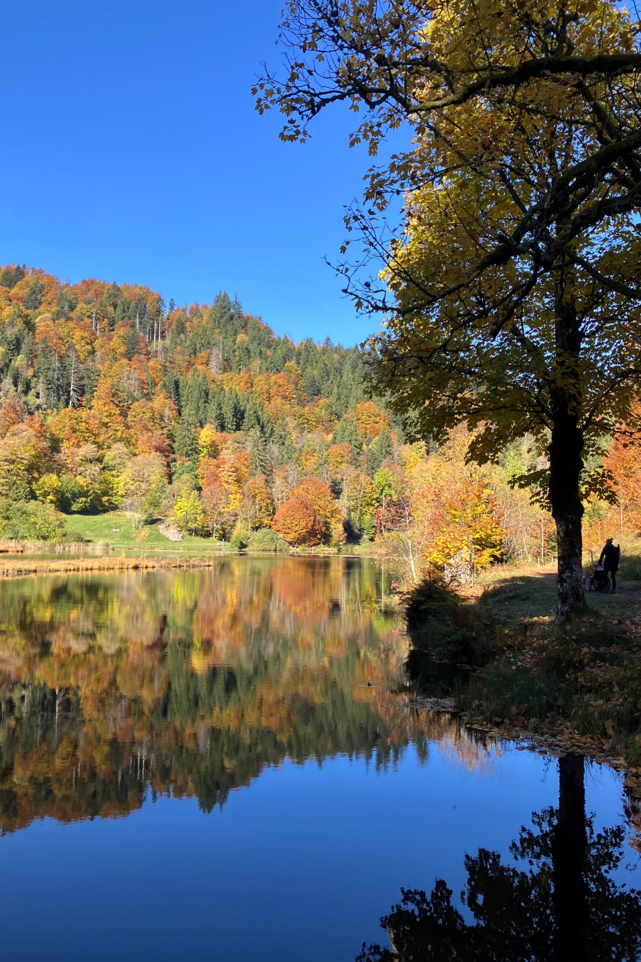 Nonnenmattweiher im Herbst